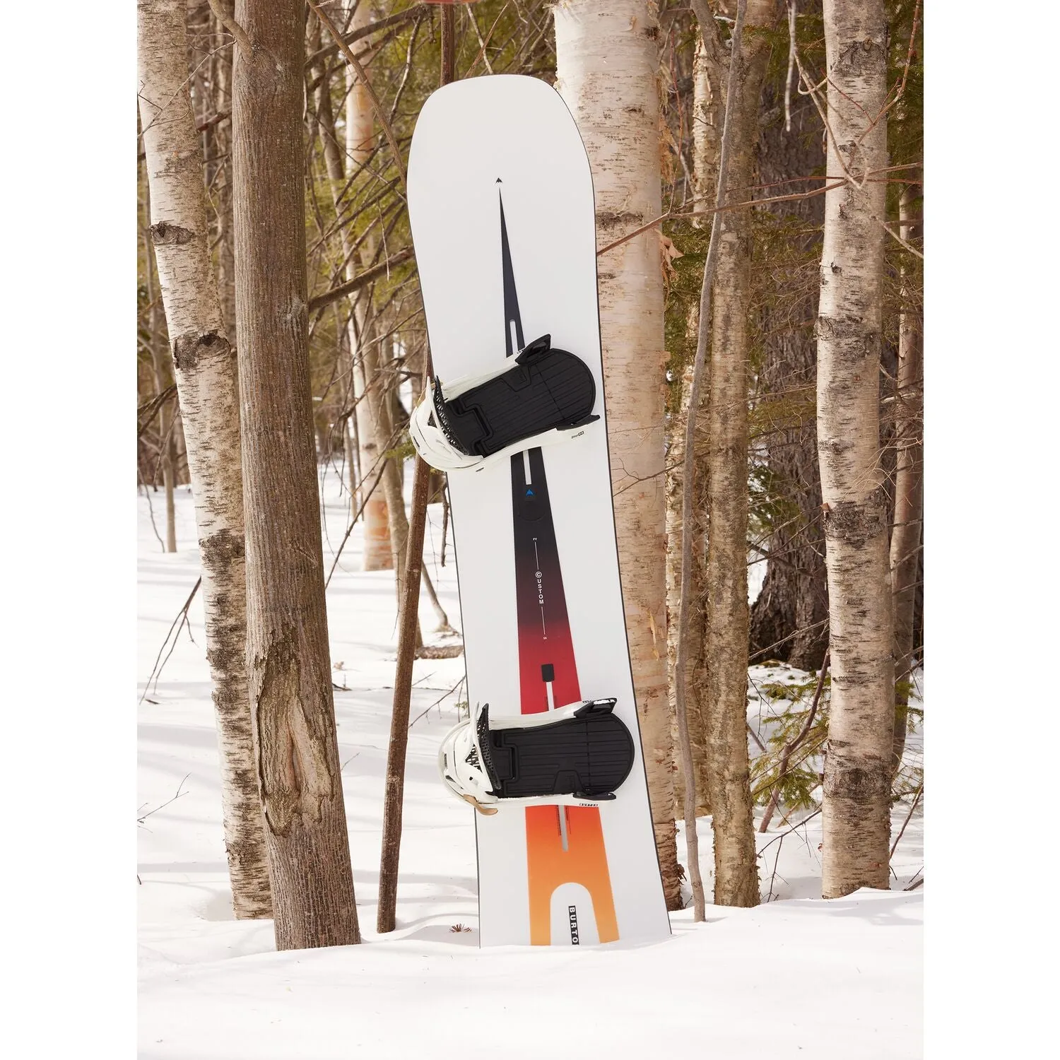 2024 Custom (Camber) | Asst. Sizes