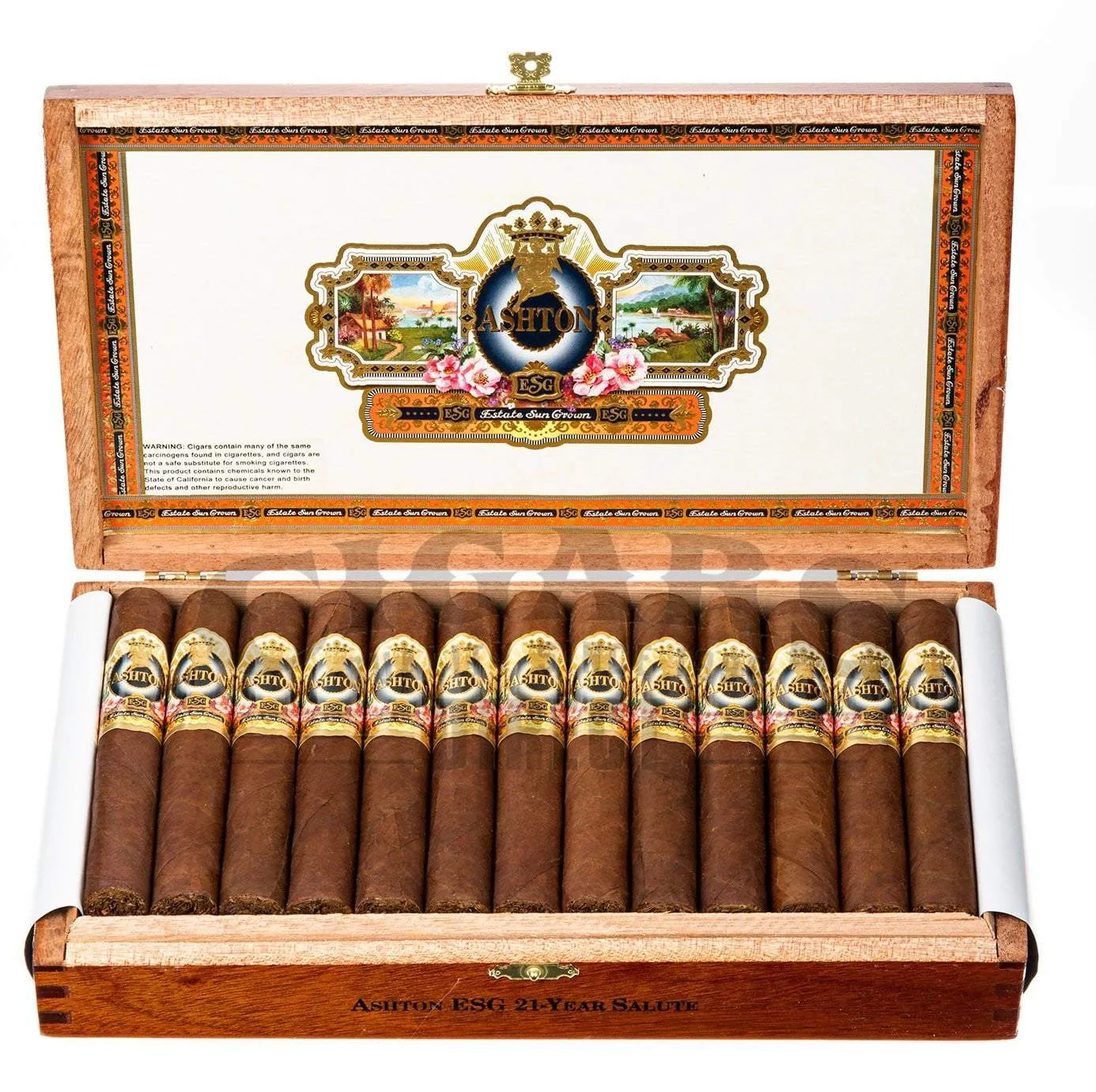 Ashton ESG 21 Yr. Salute Robusto