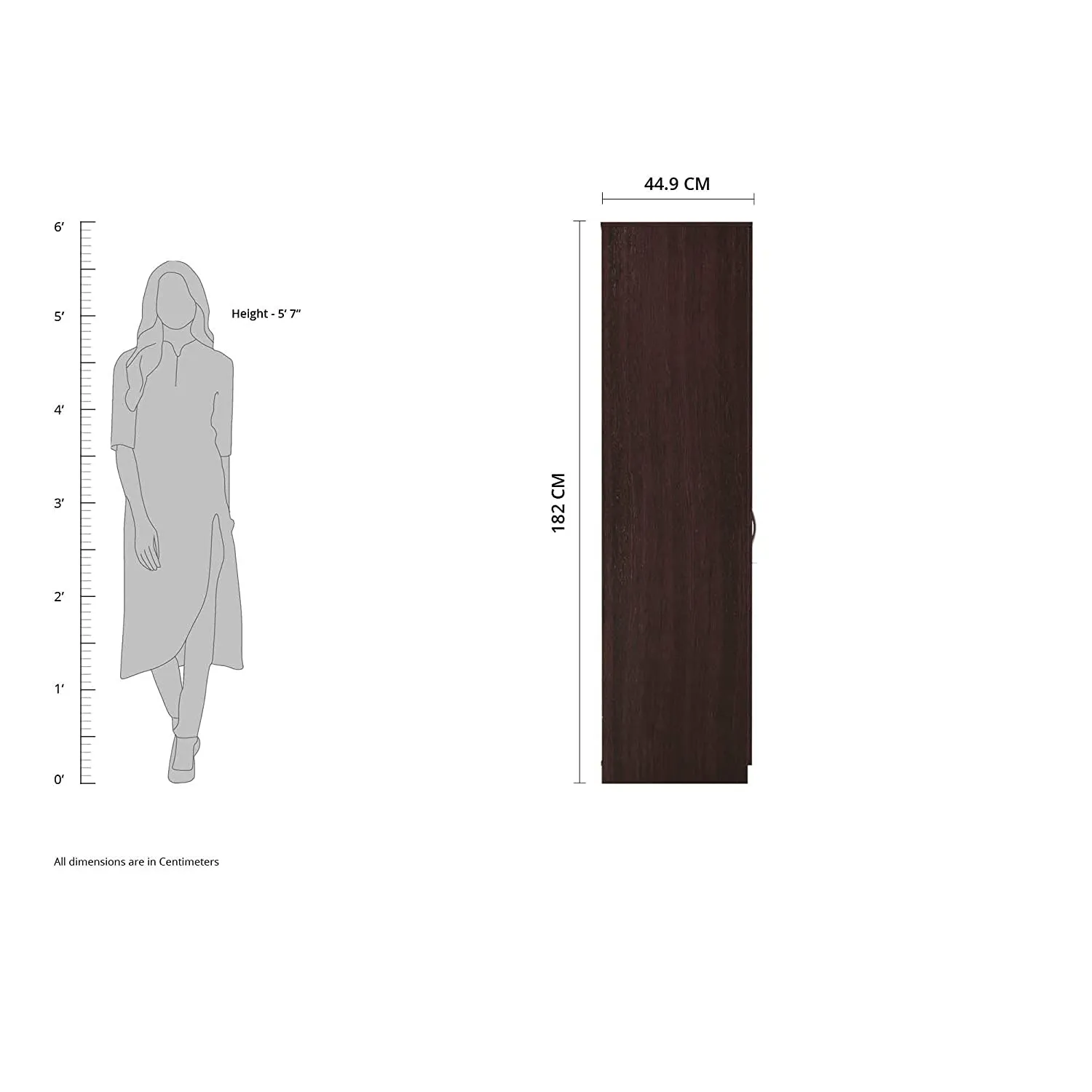 Tuffio Medusa Engineered Wood Wardrobe Wenge Finish